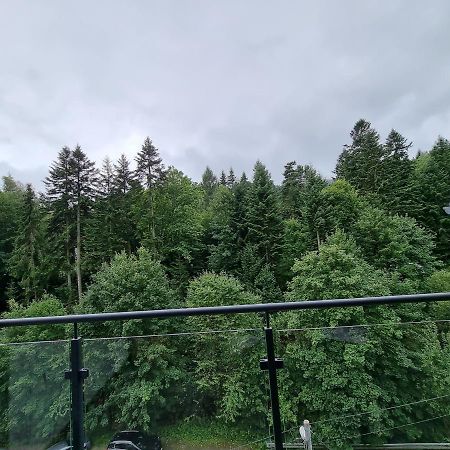 Apartament Dwupoziomowy Z Klimatyzacja Διαμέρισμα Krynica Zdroj Εξωτερικό φωτογραφία