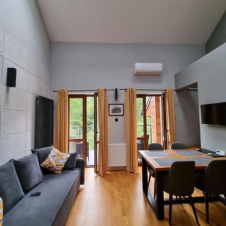 Apartament Dwupoziomowy Z Klimatyzacja Διαμέρισμα Krynica Zdroj Εξωτερικό φωτογραφία