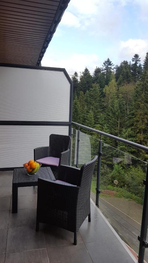 Apartament Dwupoziomowy Z Klimatyzacja Διαμέρισμα Krynica Zdroj Εξωτερικό φωτογραφία